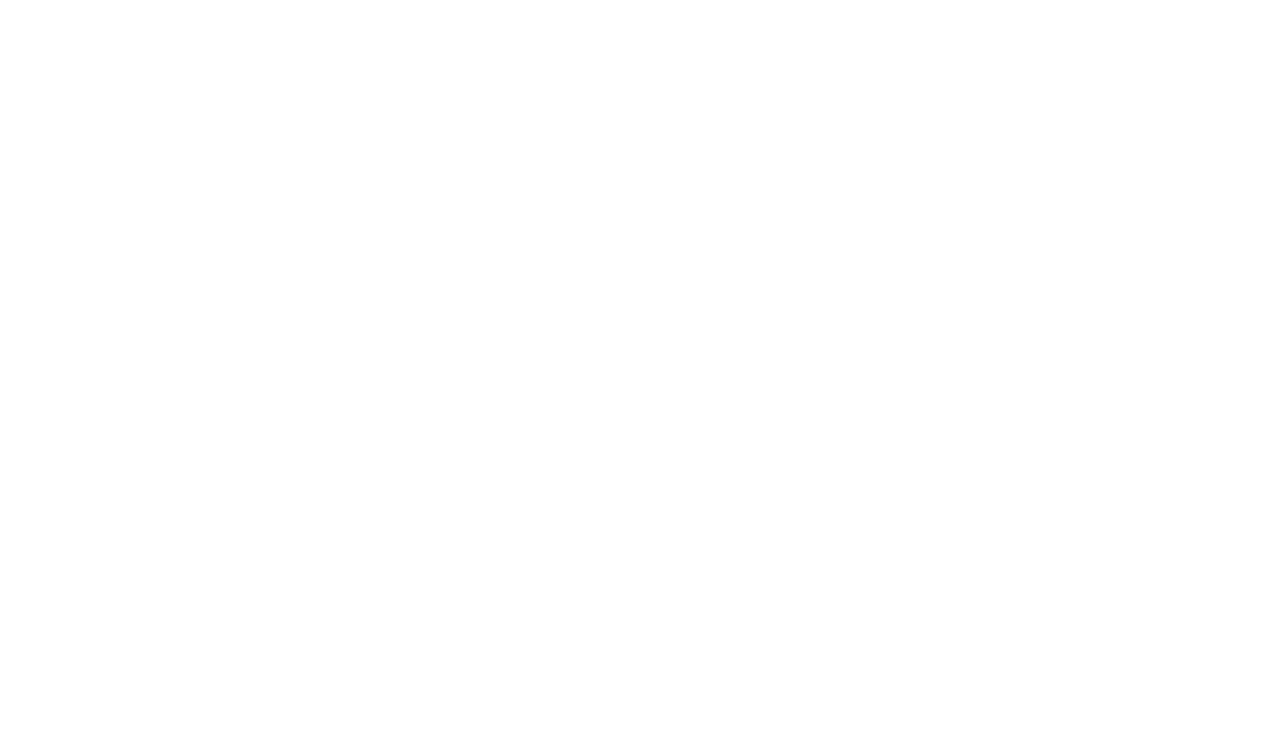 Roland Berger Werbemittel Shop